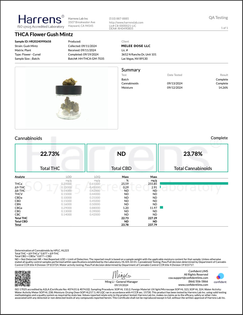 Gush Mintz • Hybrid