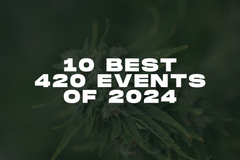 10 Best 420 Events This Year: Social & Private