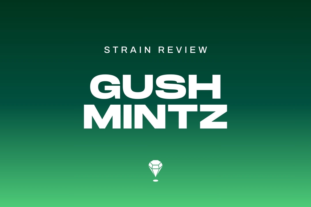 Gush Mintz Strain Review