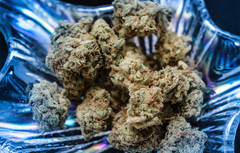 Blue Dream Strain Review