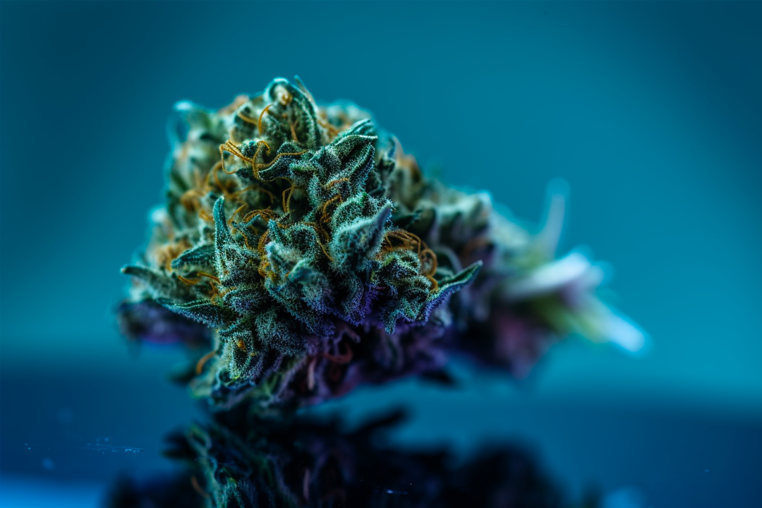 Fire OG Strain Review