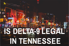 Is Delta-9 Legal In Tennessee?