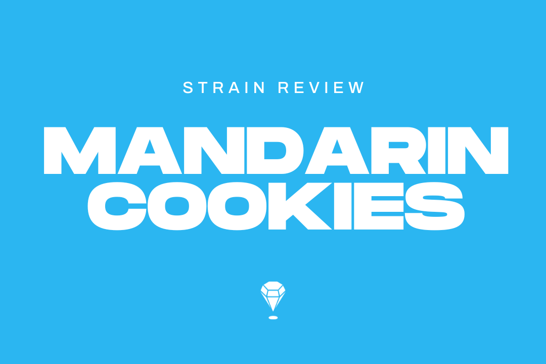 Mandarin Cookies Strain Review by Melee Dose