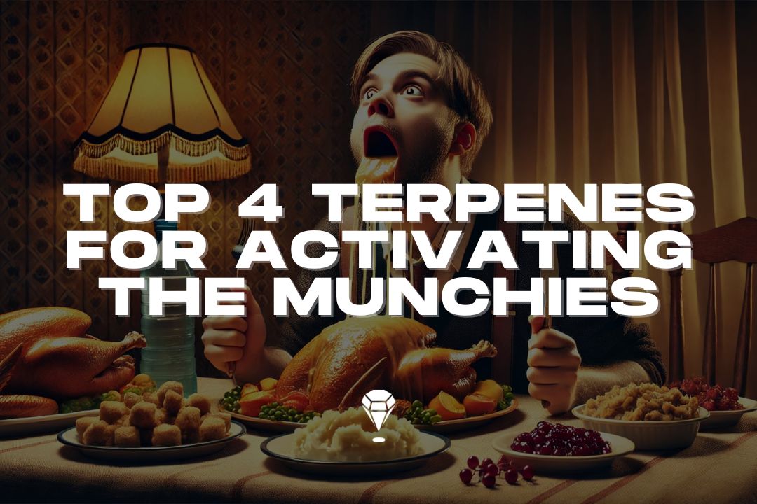 Top 4 Terpenes For The Munchies: Maximizing Holiday Meals