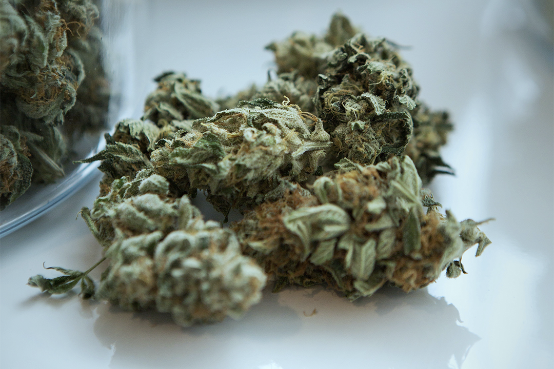 What Does THCA Stand For?