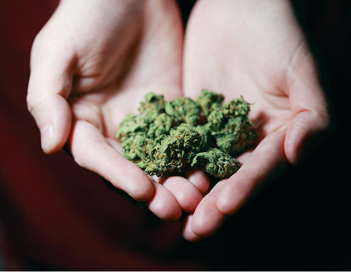 Baked Right: Why Melee THC Cookies Are the Perfect Edible Experience