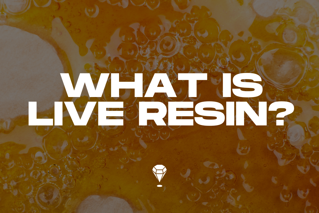 What Is Live Resin? How It’s Made & Where To Buy Online