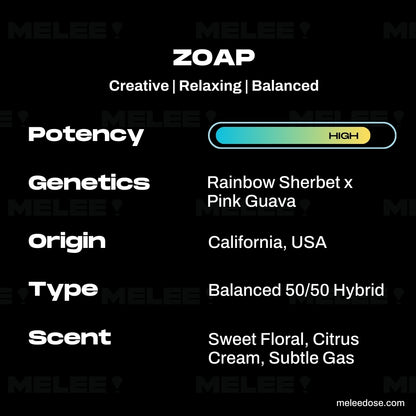 Zoap • Hybrid