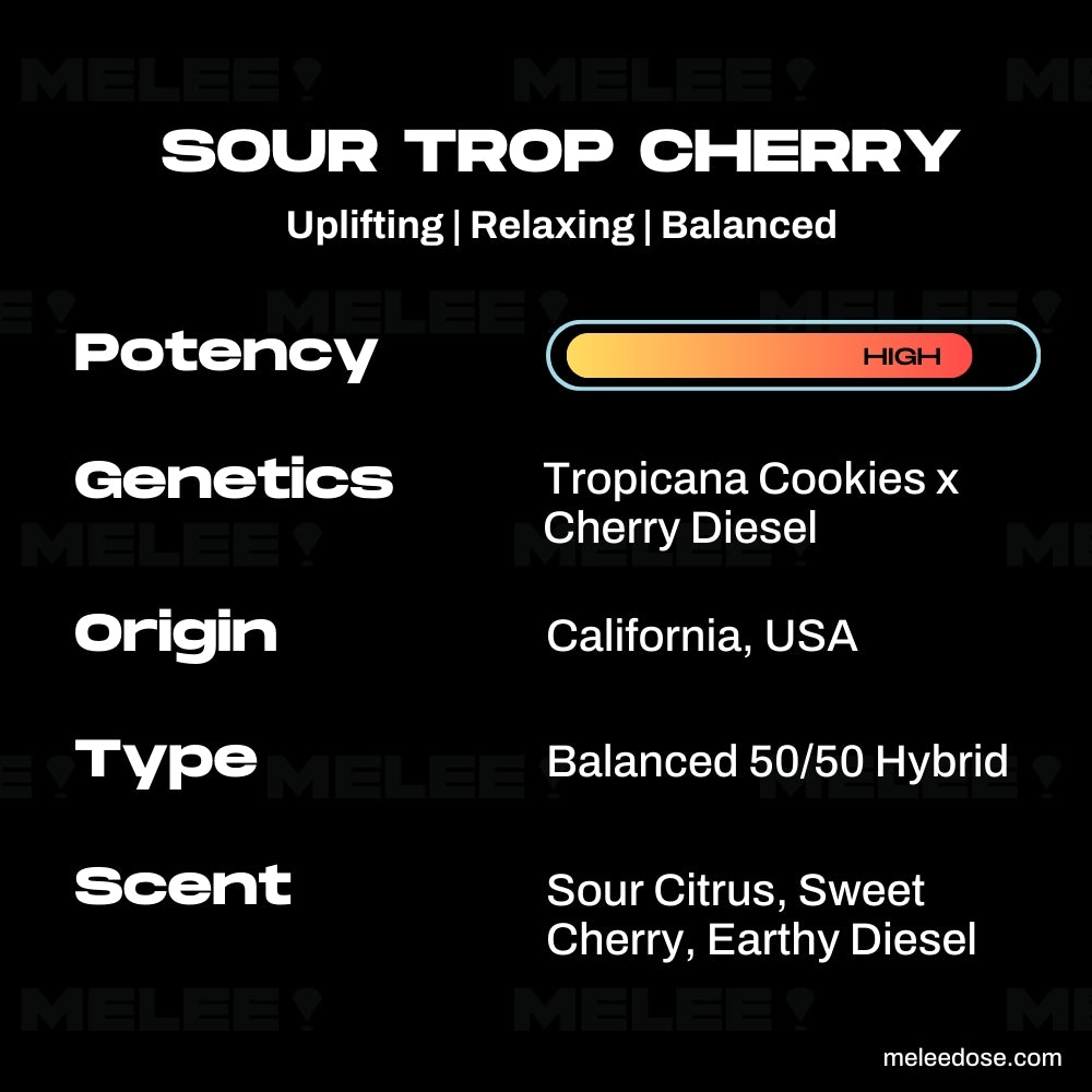 Sour Trop Cherry • Sativa