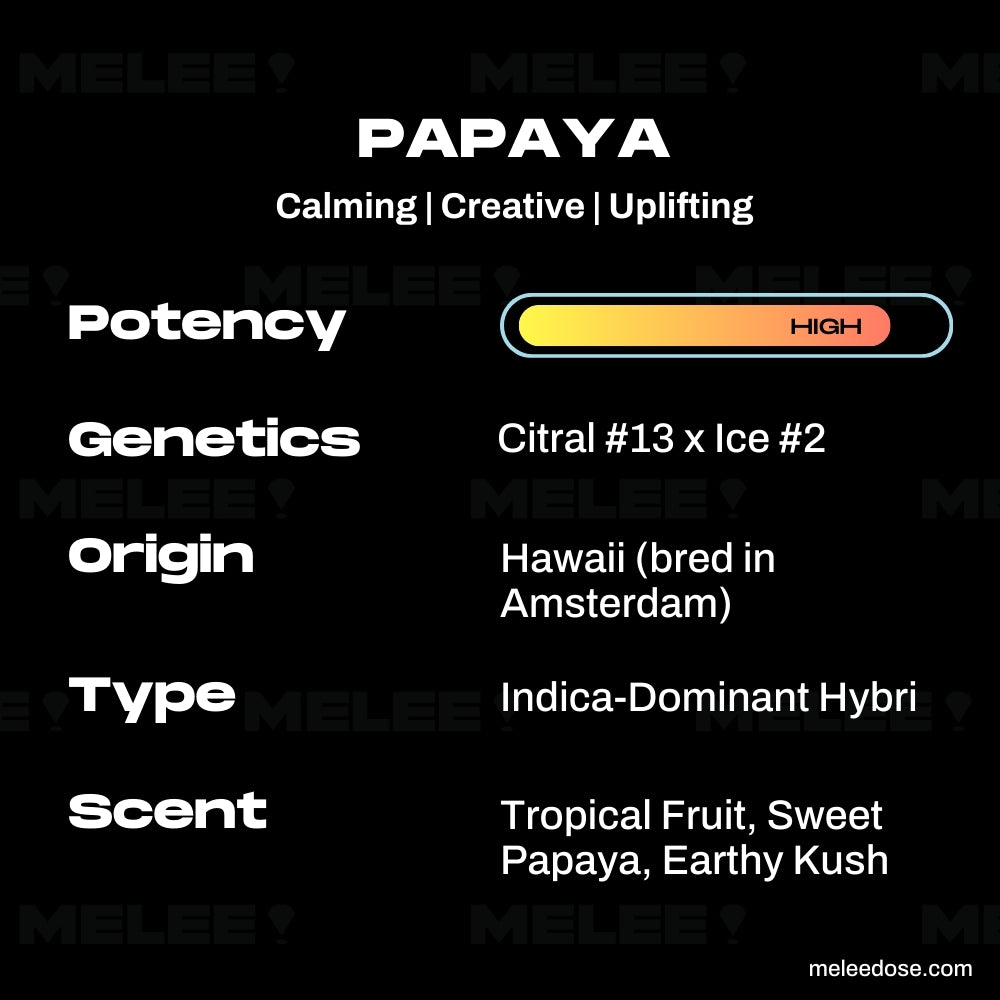 Papaya • Indica