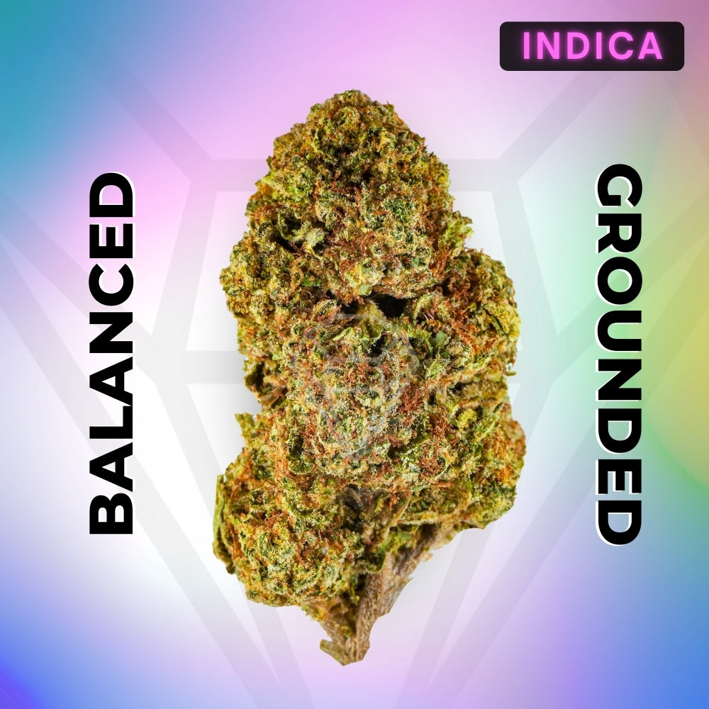 Georgia Pie • Indica