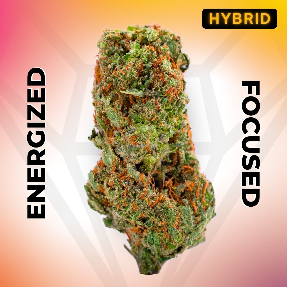 Lemon Diesel • Hybrid