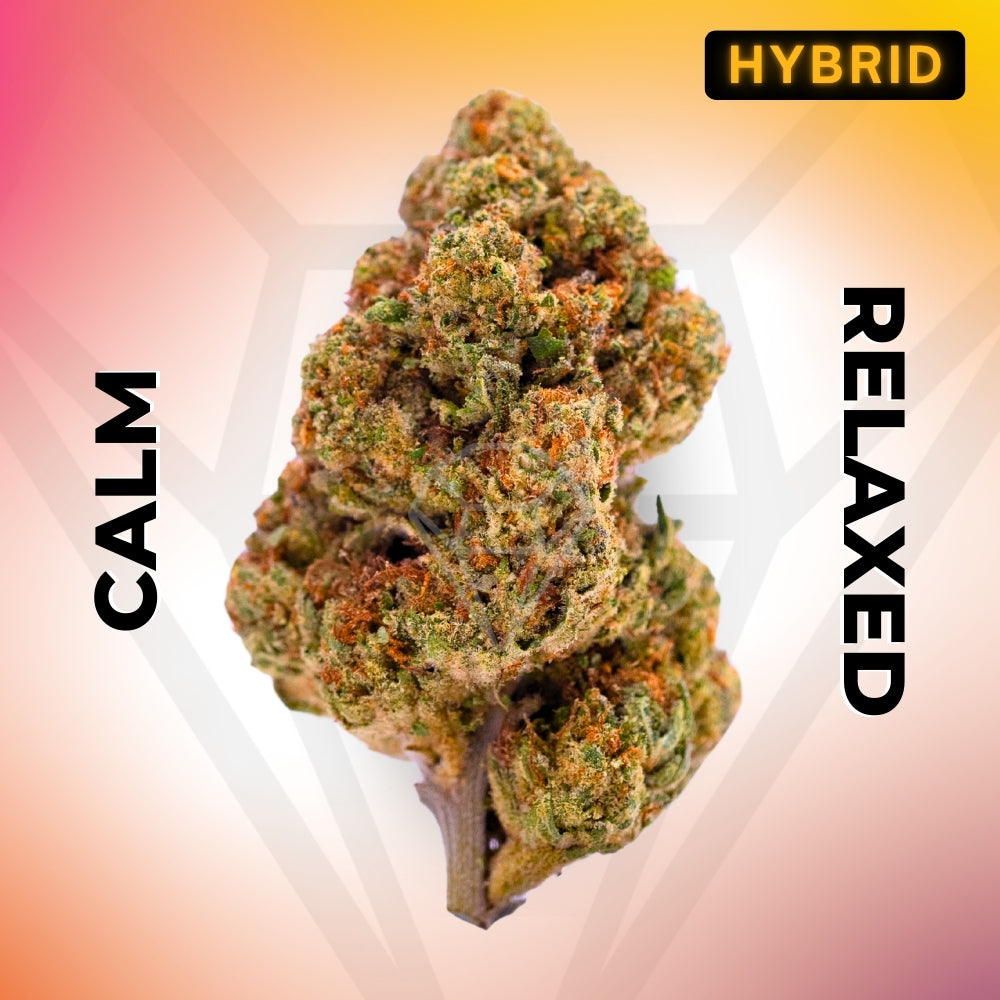 Red Velvet • Hybrid