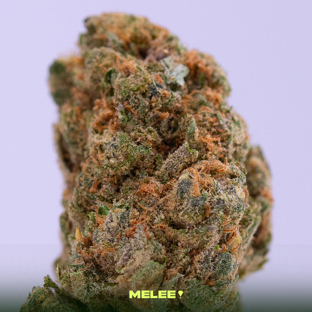 Sour Trop Cherry • Sativa