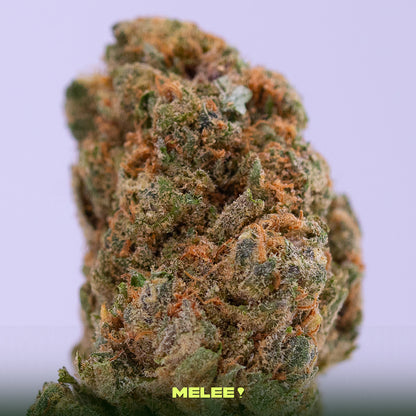 Sour Trop Cherry • Sativa