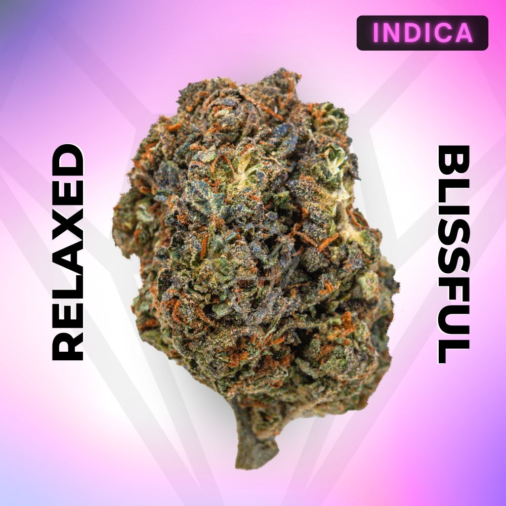Sunset Sherbert • Indica