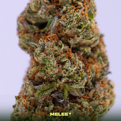Super Silver Haze • Sativa