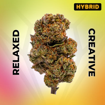 Zoap • Hybrid
