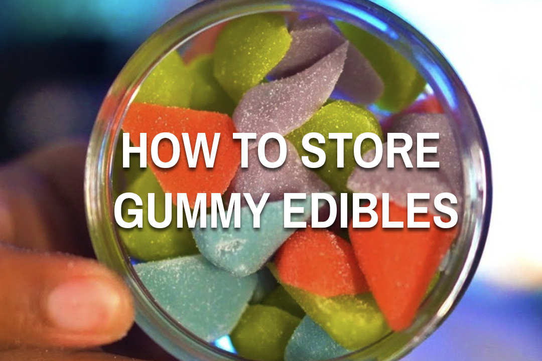 Top view of an open gummy jar with "How to store gummy edibles" written on top of it.