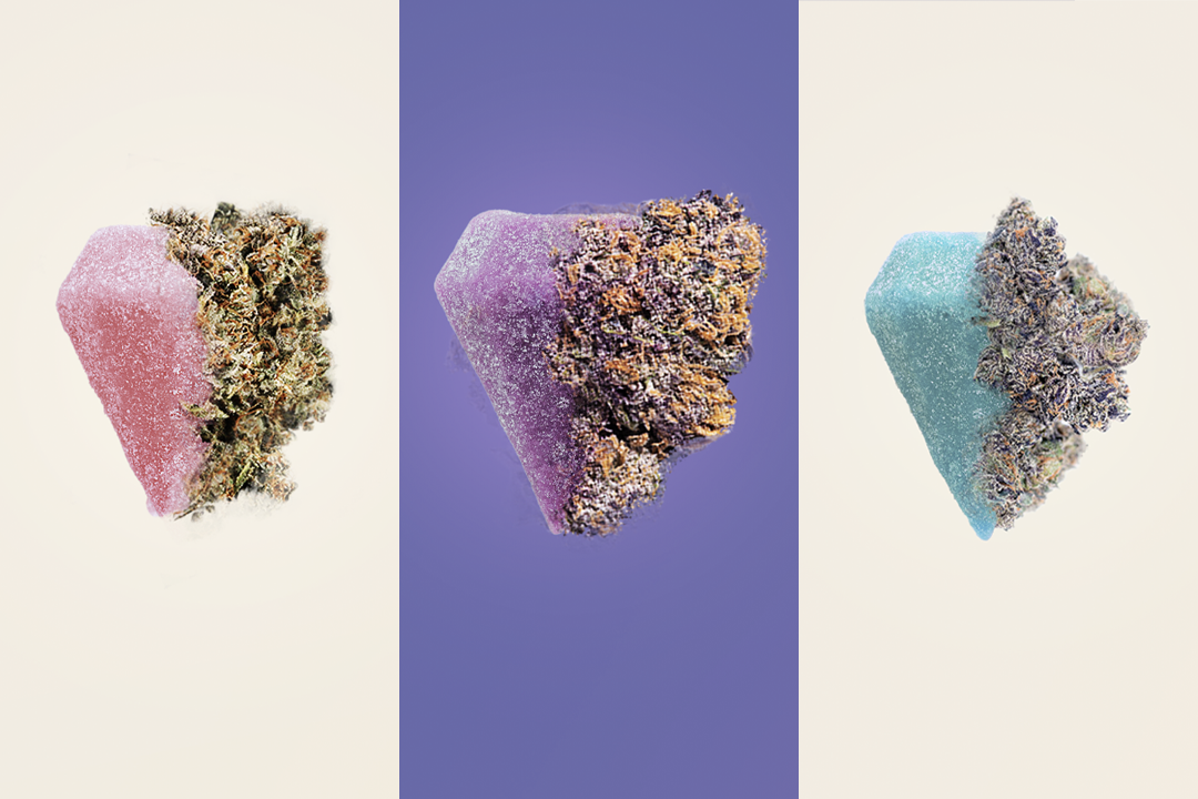 The image showcases an assortment of resin gummies with attached cannabis kush, including pink, purple, and blue varieties