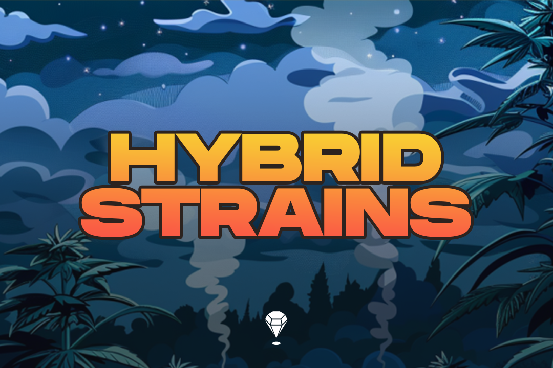 Hybrid Strains