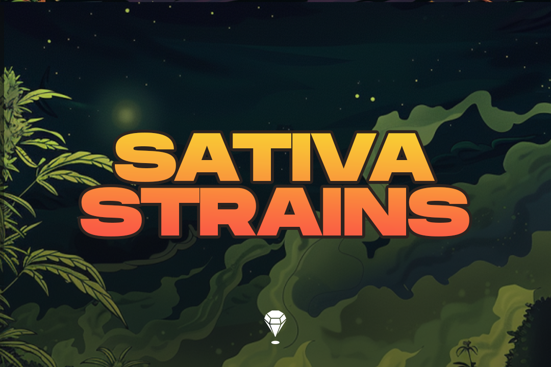 Sativa Strains