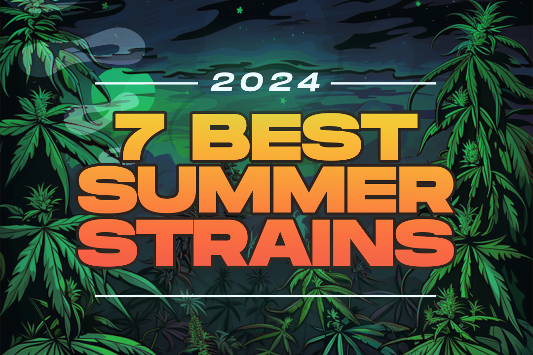 7 Best Summer Strains