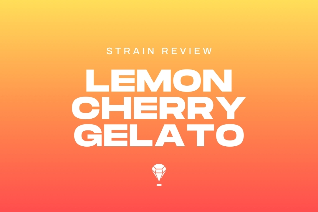 Lemon Cherry Gelato Strain Review by Melee Dose