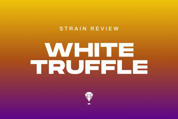 White Truffle Strain Review by Melee Dose