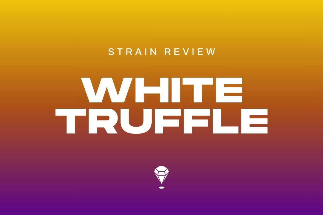 White Truffle Strain Review by Melee Dose