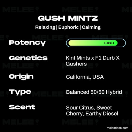 Gush Mintz Strain