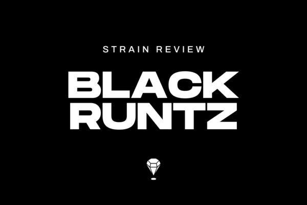 Black Runtz Strain Review by Melee Dose