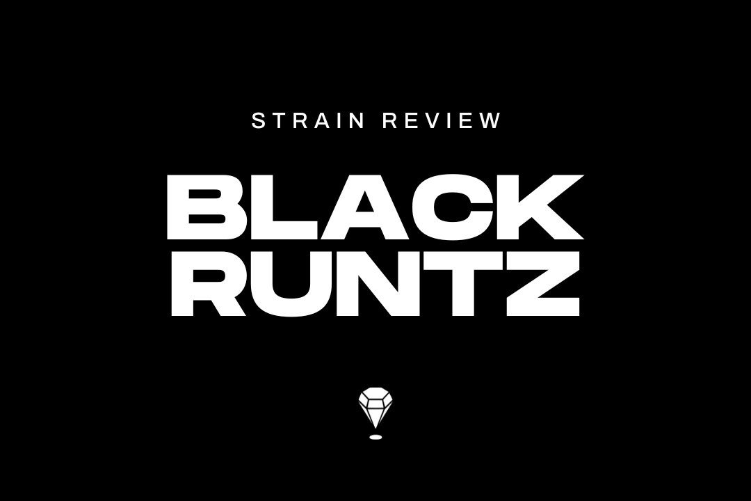 Black Runtz Strain Review by Melee Dose