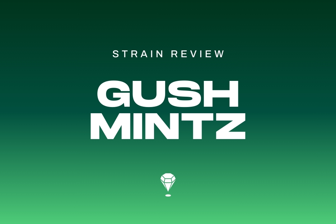 Gush Mintz Strain Review by Melee Dose