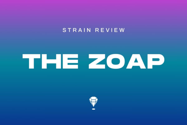 Zoap Strain Review by Melee Dose