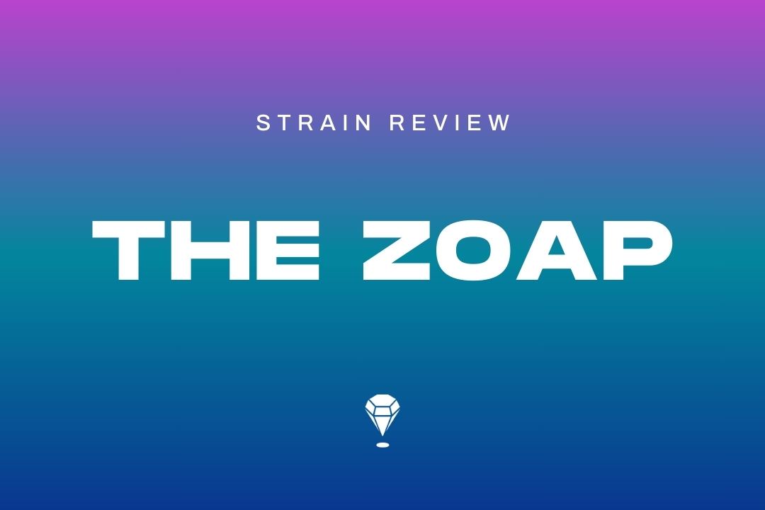 Zoap Strain Review by Melee Dose